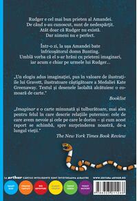 Imaginar | paperback