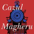 Cazul Magheru - gallery small 