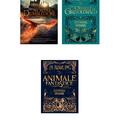 Animale fantastice (scenariul original) 3 volume - gallery small 