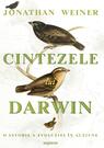 Cintezele lui Darwin