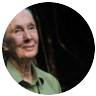 Jane Goodall