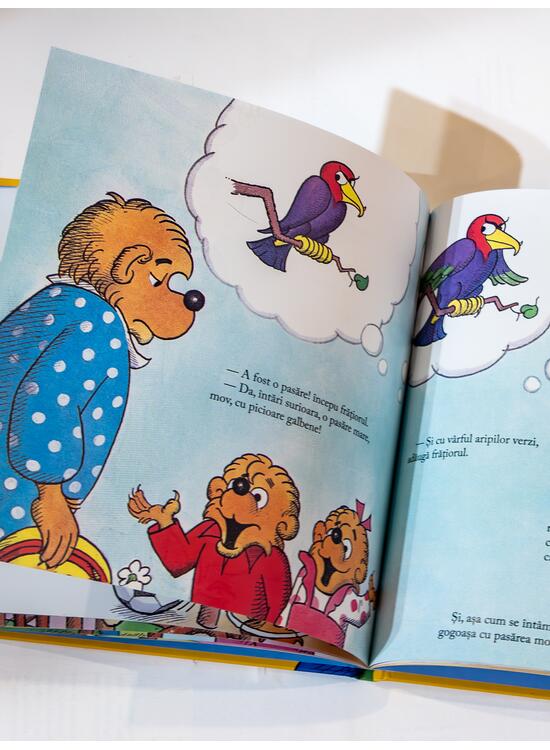 Ursuleții Berenstain și adevărul - gallery big 4