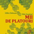 Mii de platouri - gallery small 