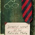 Jurnalul secret al lui Adrian Mole - gallery small 