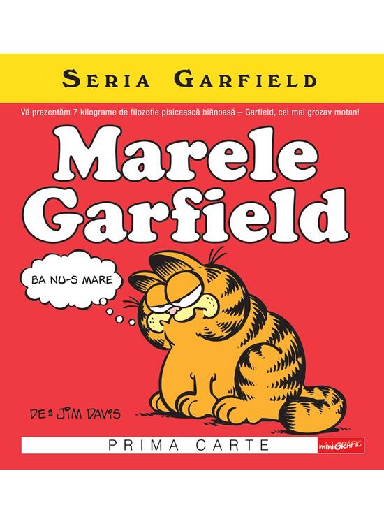 Seria Garfield #1. Marele Garfield - gallery big 1