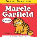 Seria Garfield #1. Marele Garfield - gallery small 