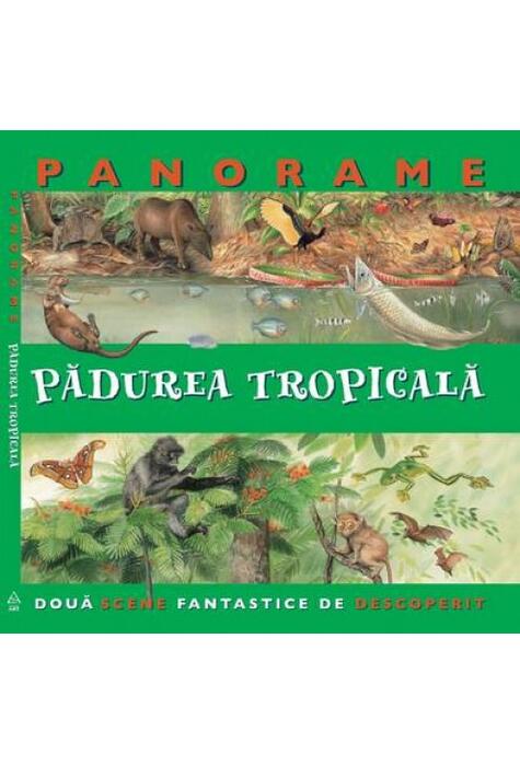 Pădurea tropicală