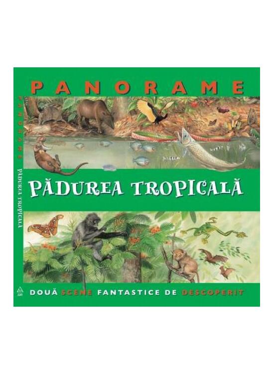 Pădurea tropicală - gallery big 1