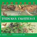 Pădurea tropicală - gallery small 