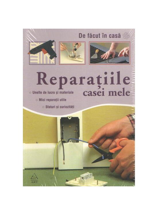 Reparatiile casei mele - gallery big 1