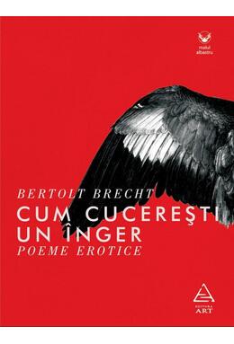 Cum cucerești un înger. Poeme erotice