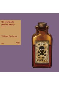 Un trandafir pentru Emily | vinil audiobook