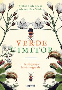 Verde uimitor