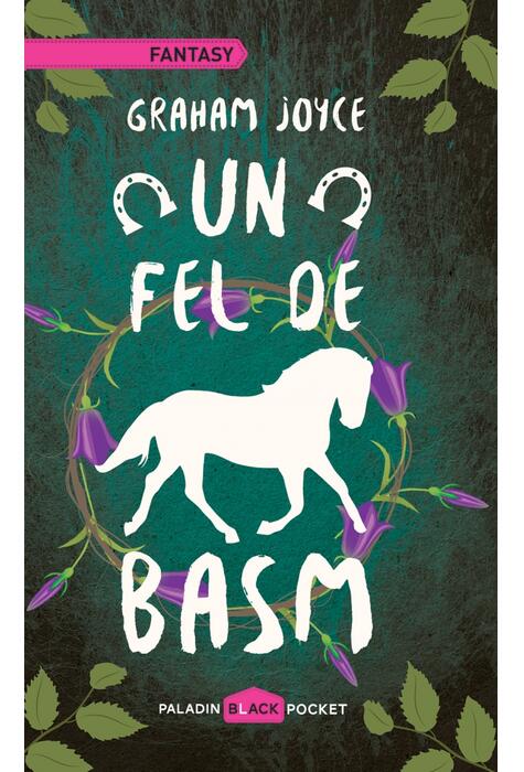 Un fel de basm