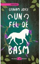 Un fel de basm