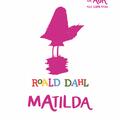 Matilda | Cărțile de aur ale copilăriei - gallery small 