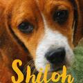 Shiloh - gallery small 