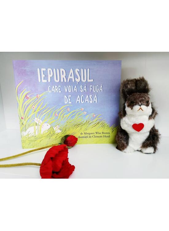 Iepurașul care voia să fugă de acasă | paperback - gallery big 4