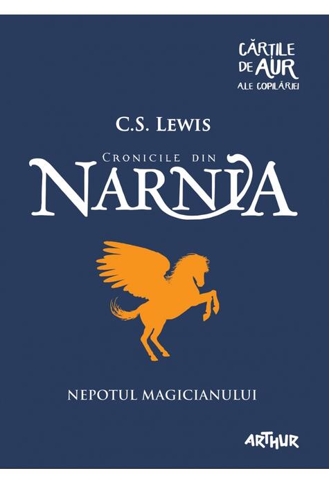 Nepotul magicianului | Cărțile de aur ale copilăriei