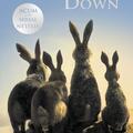 Watership Down - gallery small 