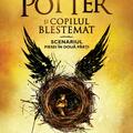 Harry Potter și copilul blestemat - gallery small 