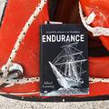 Endurance. Incredibila călătorie a lui Shackleton - gallery small 