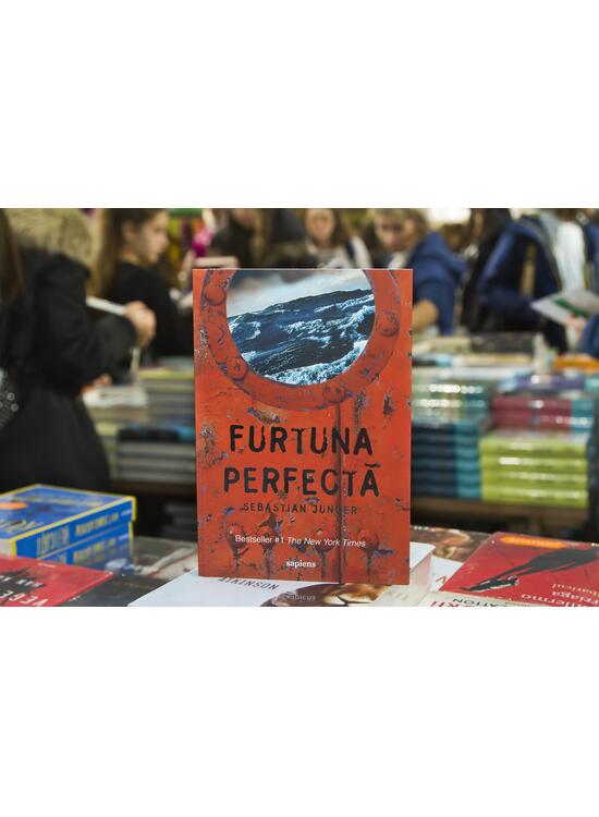 Furtuna perfectă - gallery big 3