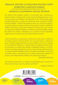 Castelul din pod | paperback