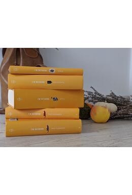 Box set Frații Karamazov