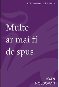 Multe ar mai fi de spus