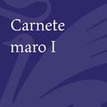 Carnete maro I - gallery small 