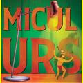 Micul Urs - gallery small 